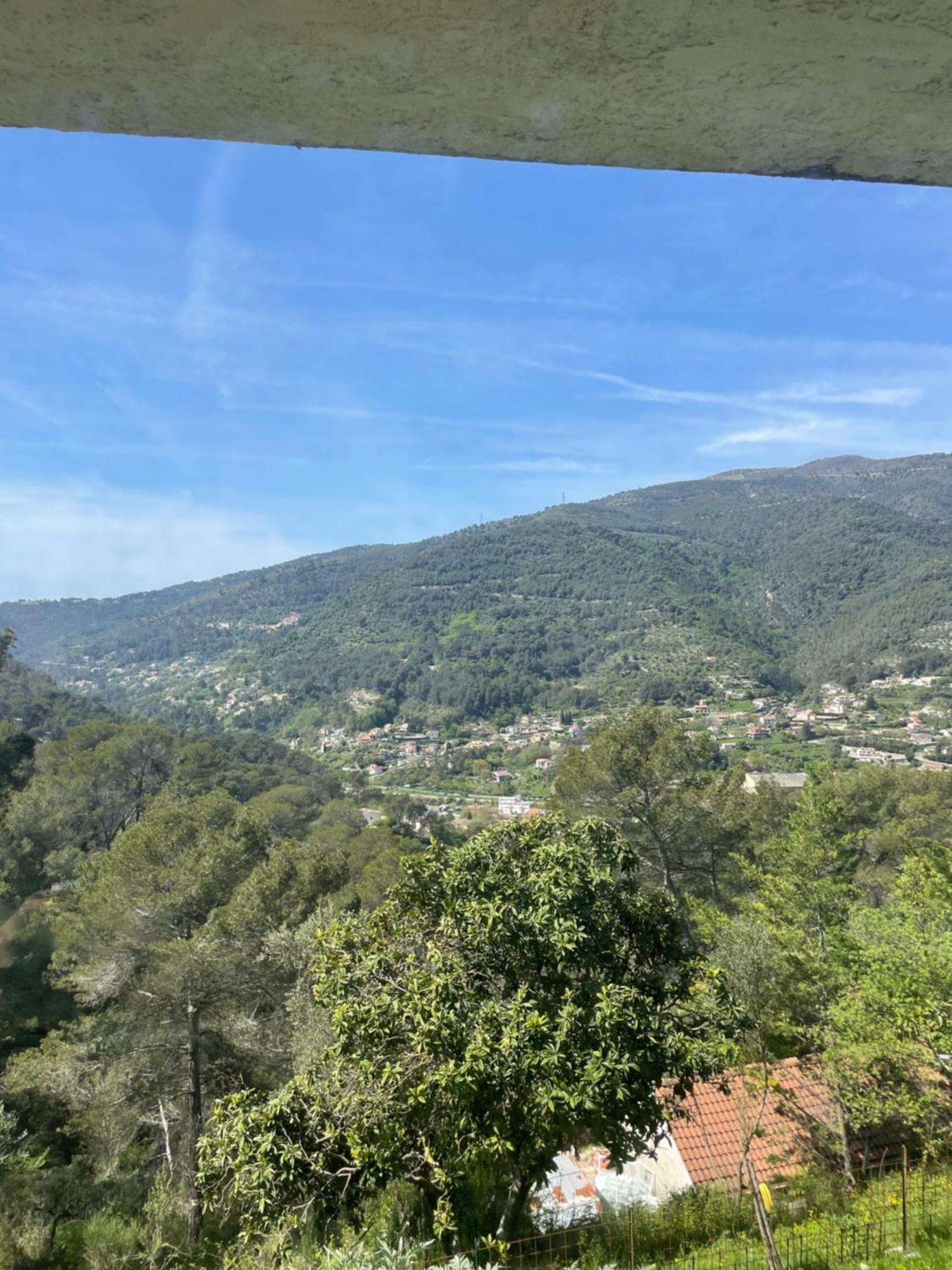 Charme Provencal Pres De Nice Blausasc Екстериор снимка